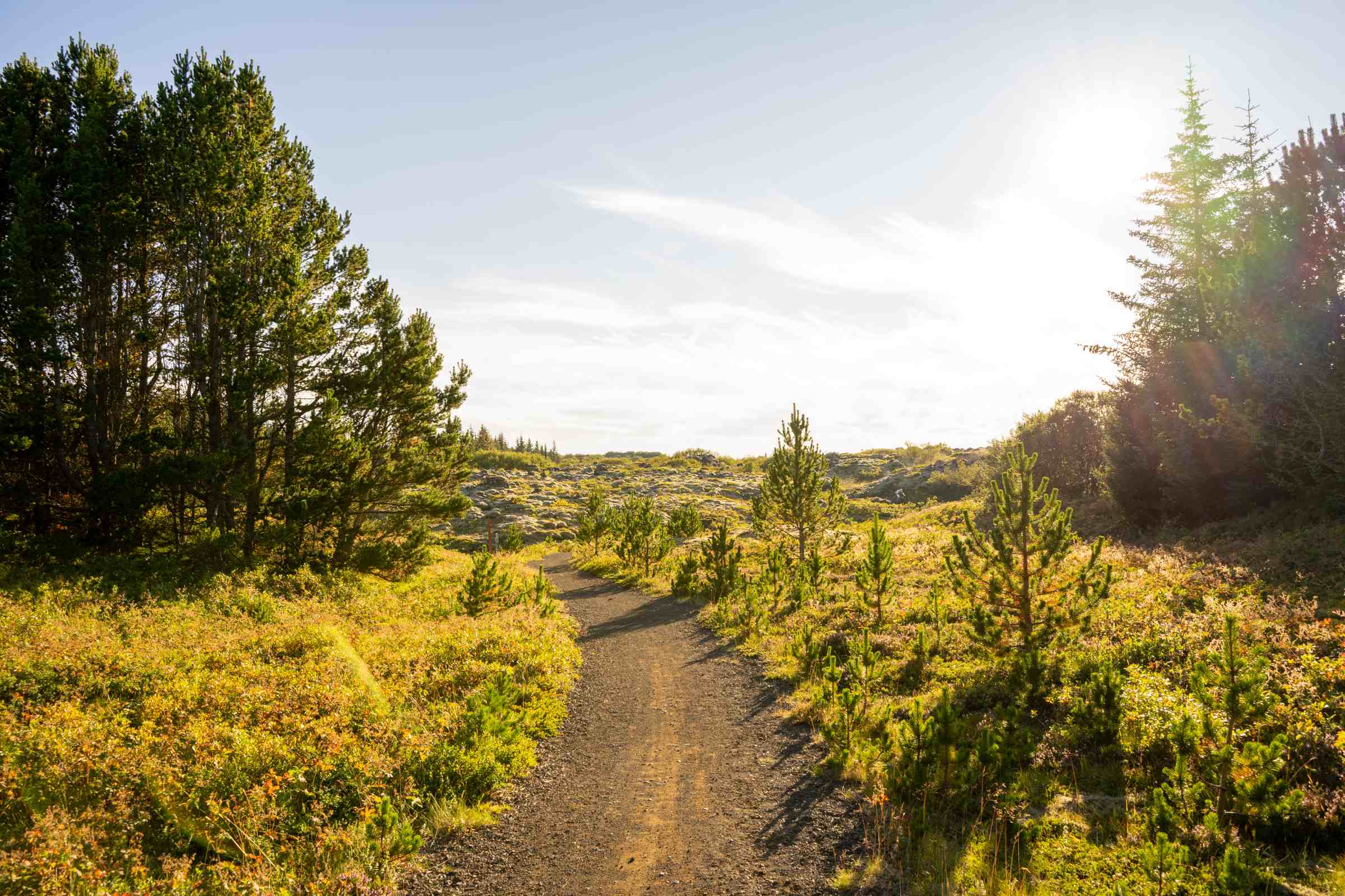 Wanderweg im Naturschutz- und Naherholungsgebiet Heiðmörk