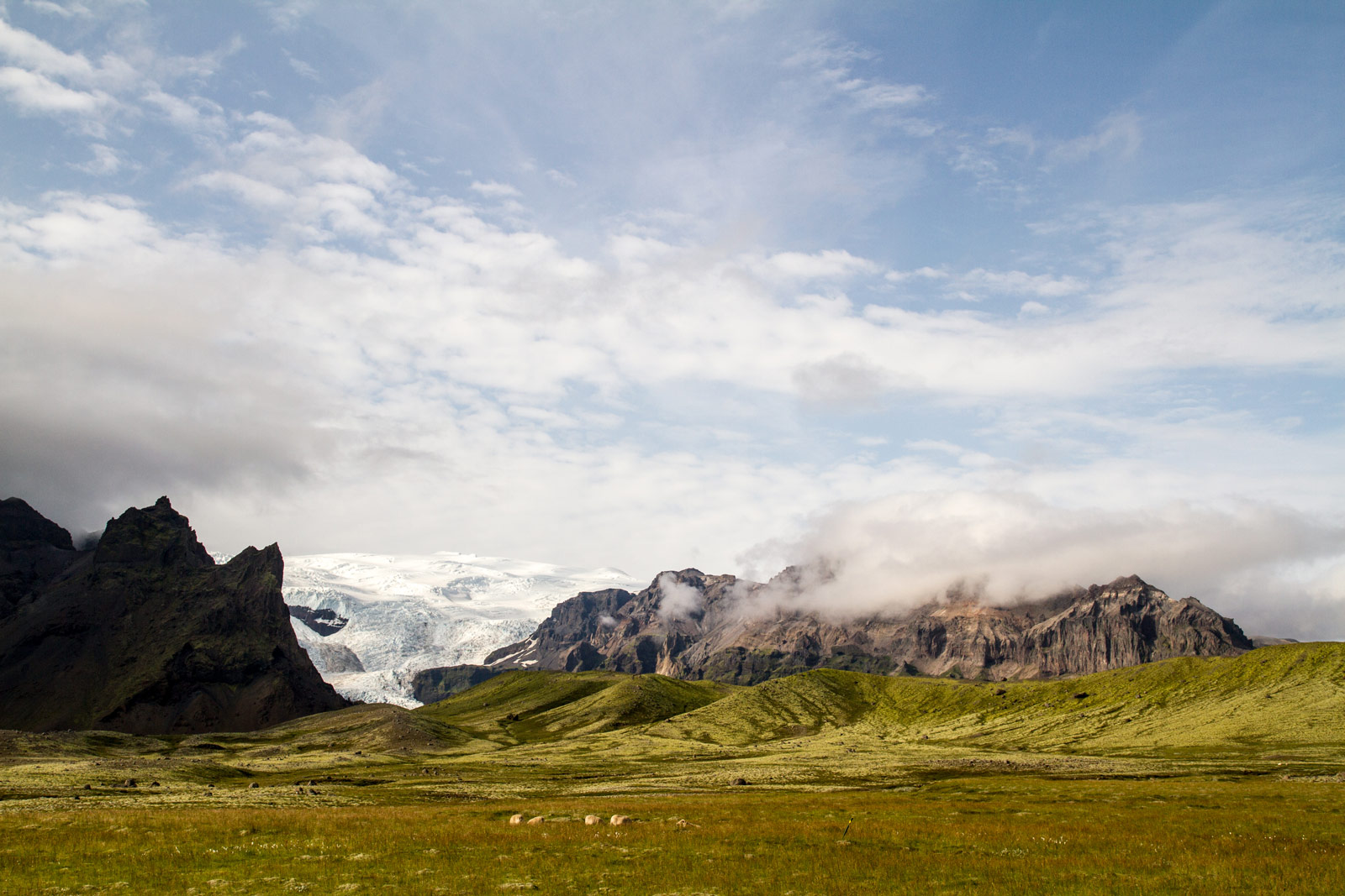 Seerobben und türkise Eisberge bei Höfn nightside