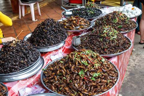Insektenmarkt bei Phnom Penh