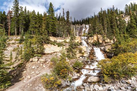 gallery/11-canada-jasper-tangle-creek-falls.jpg,Tangle Creek Falls